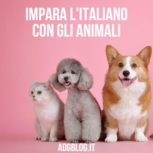 animali italiano L2