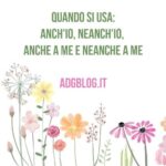 anch'io neanch'io anche a me neanche a me