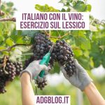 esercizio sul lessico del vino