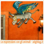 Espressioni con gli animali