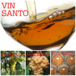 l'italiano con il vin santo