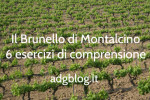 6 esercizi sul brunello di montalcino