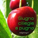 Giugno proverbi