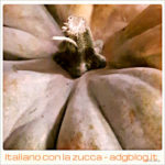 zucca