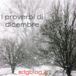 proverbi dicembre