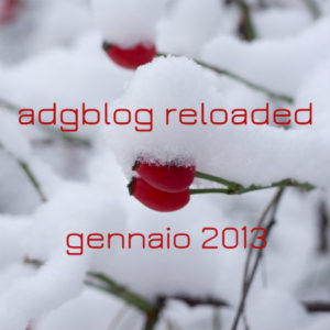 adgblog gennaio 2013