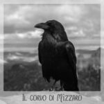 Il corvo di Mìzzaro, Pirandello