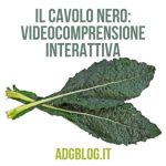 cavolo nero video comprensione